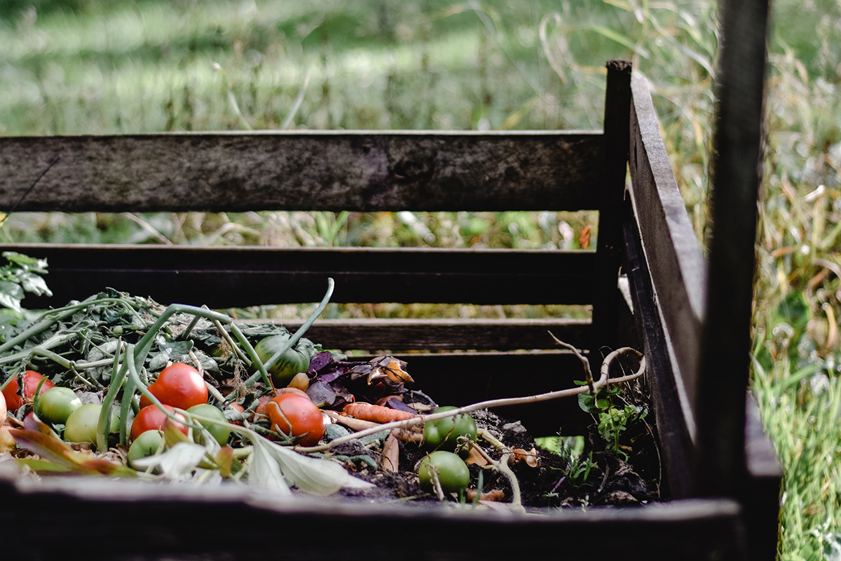 Не спешите выбрасывать ботву помидоров: пригодится в огороде