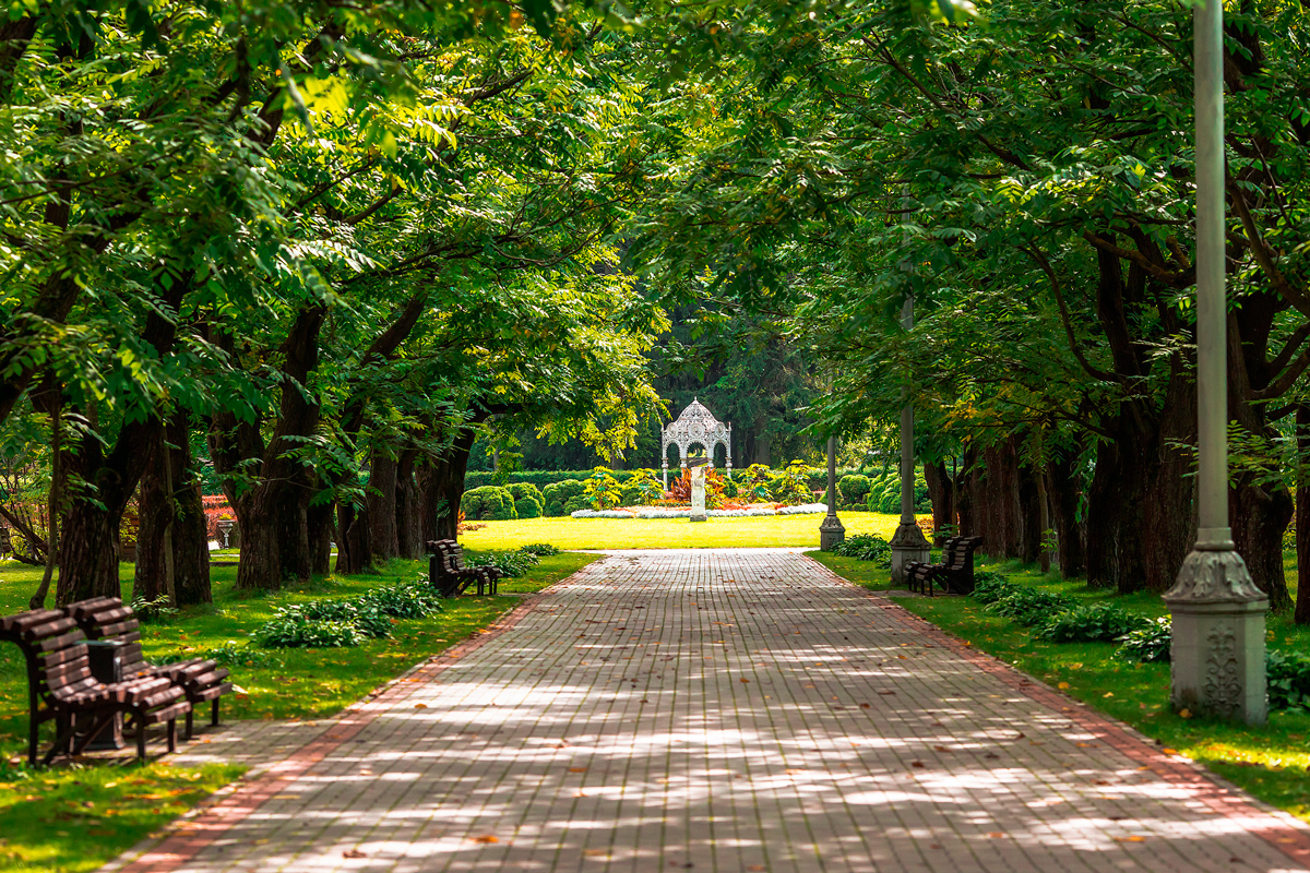 По два парка в каждом районе: в Минске обустроят места отдыха