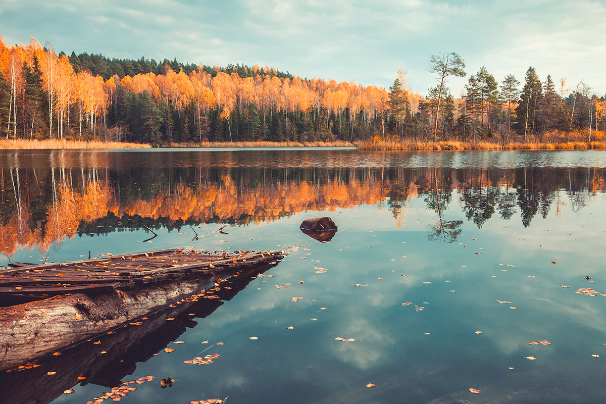 Насладиться золотой осенью: топ-5 заповедных мест Беларуси