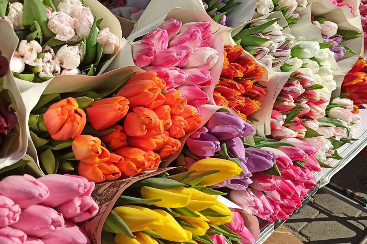 Цветочный рай: посмотрели, сколько стоят тюльпаны накануне 8 Марта