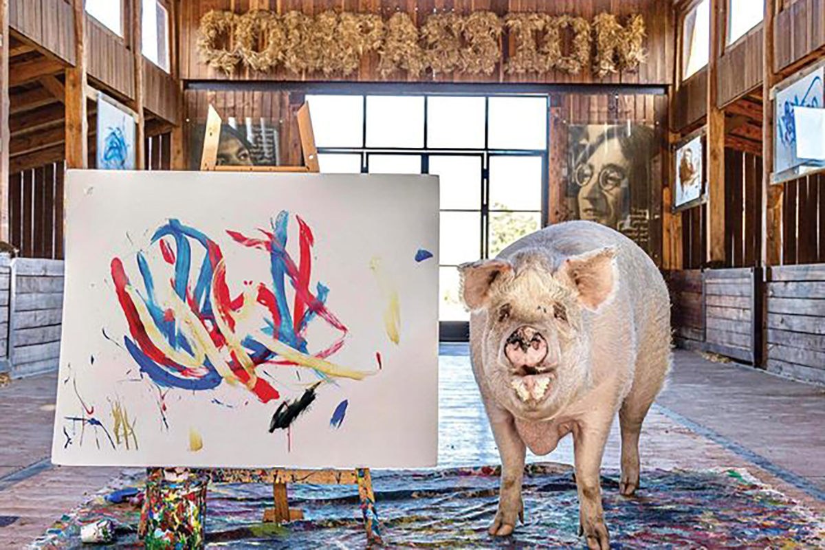 Свинья Пигкассо пишет картины на тысячи долларов