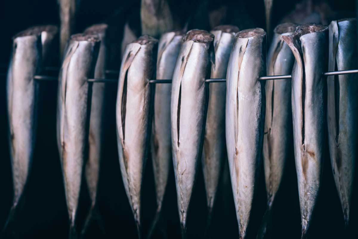 В белорусских магазинах может появиться рыба с Камчатки – и вот какая