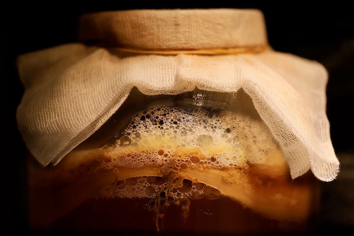 Чайный гриб справляется с фильтрацией воды лучше аналогов