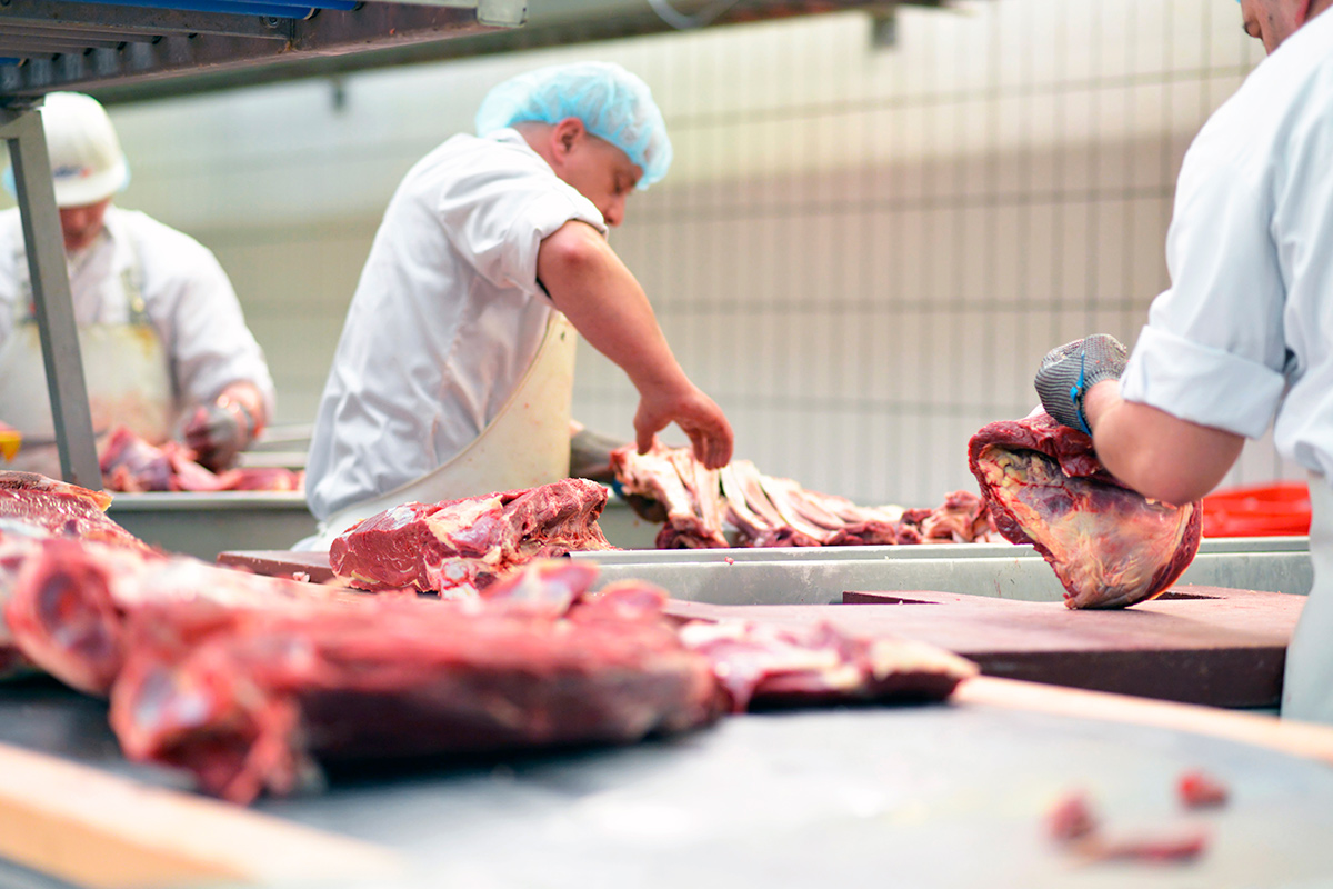 Кулинария известной сети в Гомеле продавала просроченное мясо – КГК