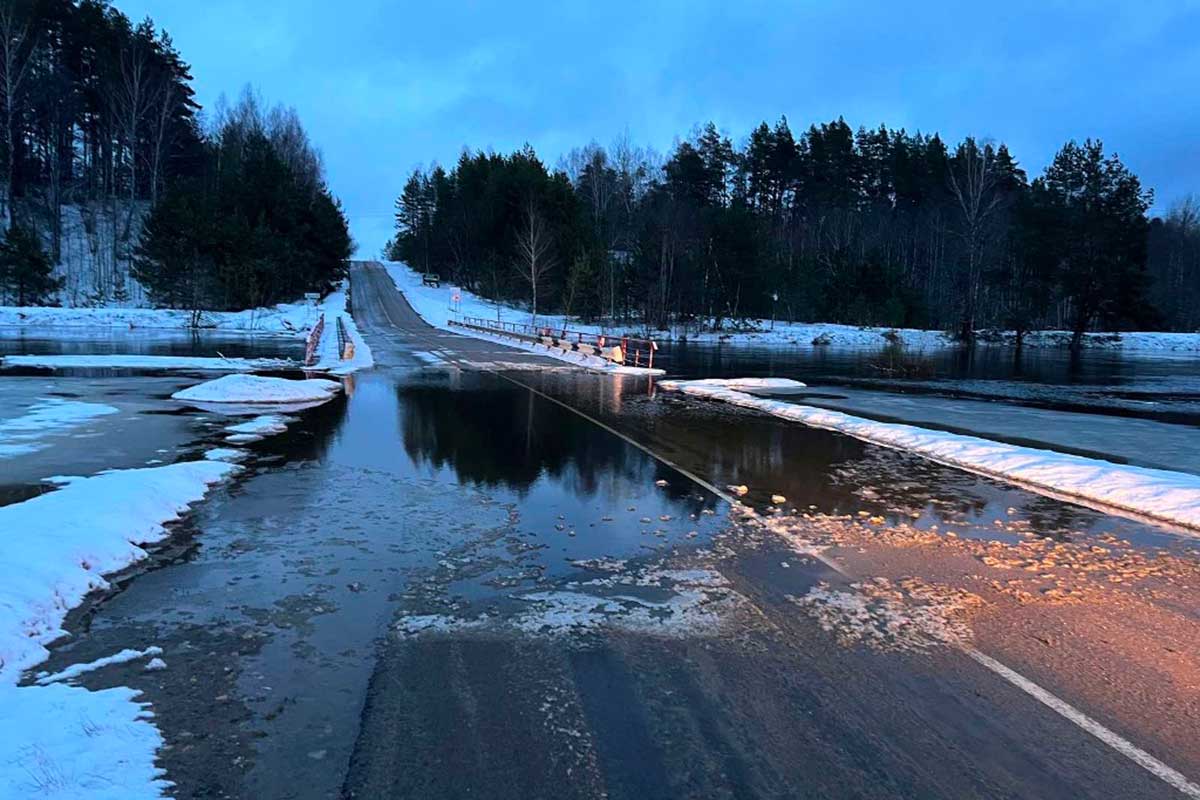 Дороги и мосты под водой: декабрьский паводок "пришел" в Могилевскую область