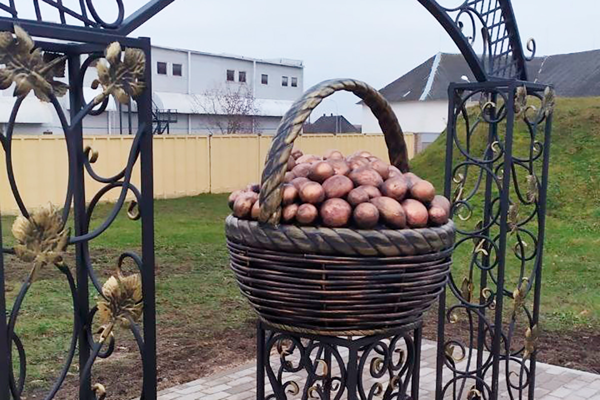 Картошки много не бывает: очередной памятник овощу открыли в Беларуси