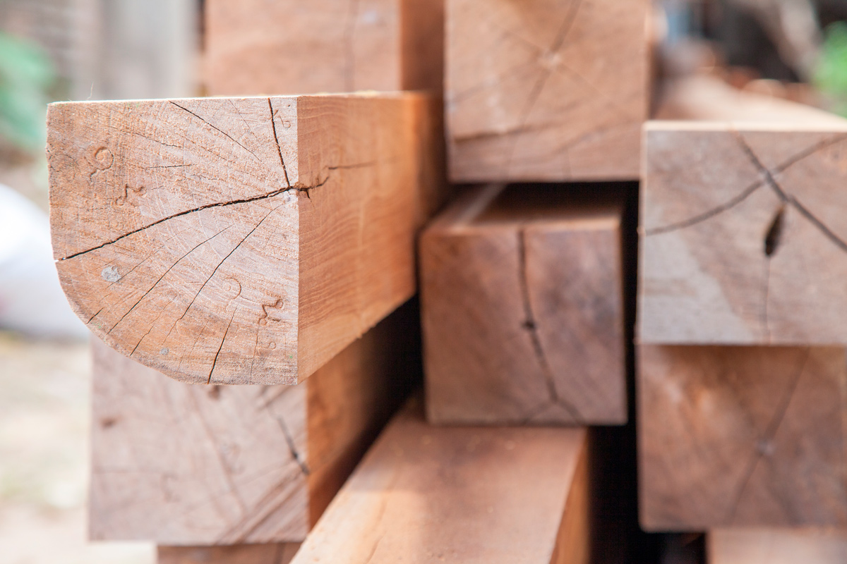 Белорусов начали штрафовать за неправильное использование древесины