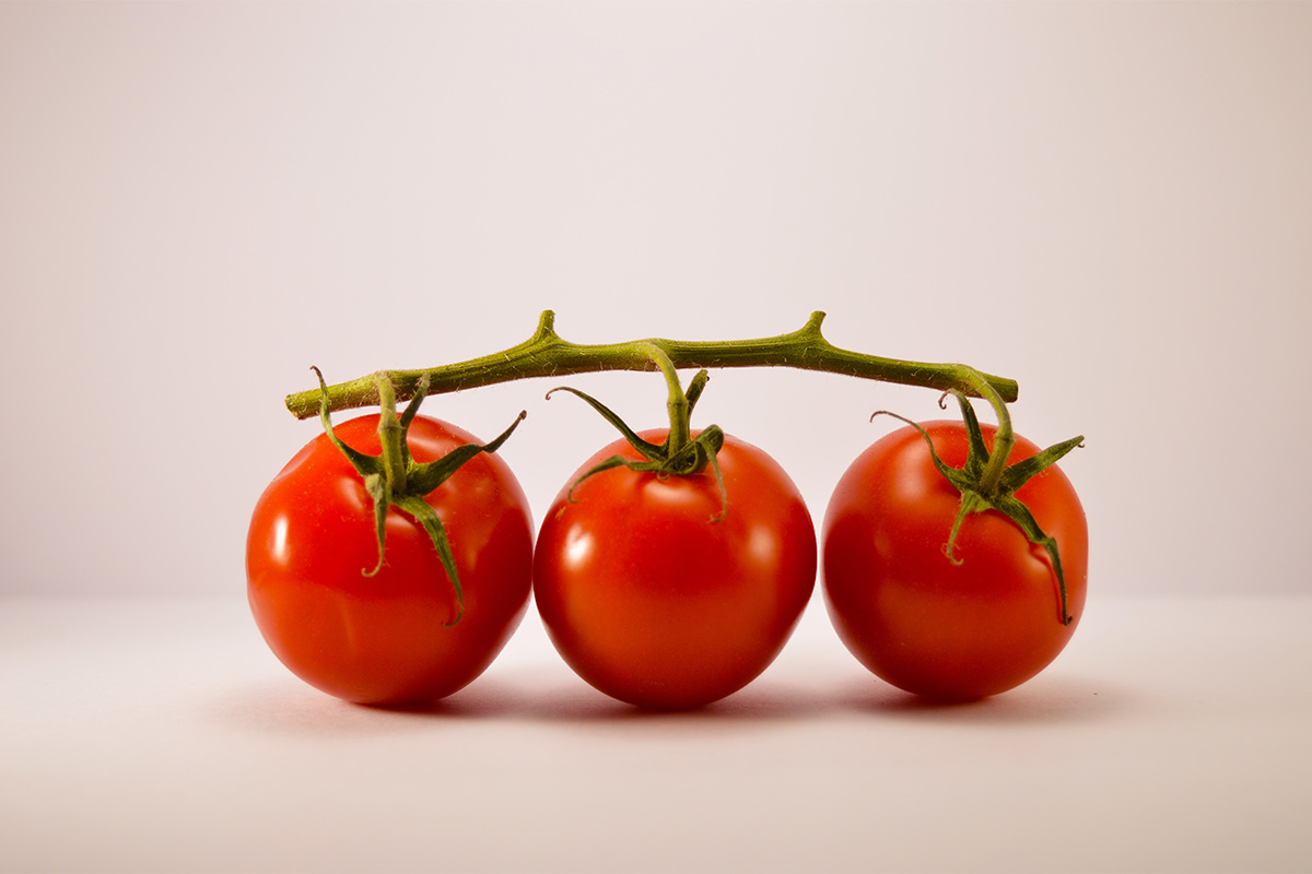 Если не посеяли рассаду томатов: эту проблему можно решить даже в апреле
