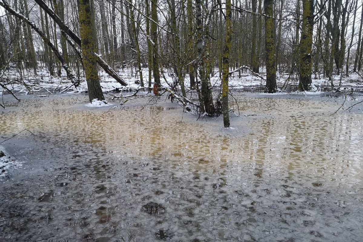 В Беларуси уже в трех реках уровень воды превысил опасные высокие отметки