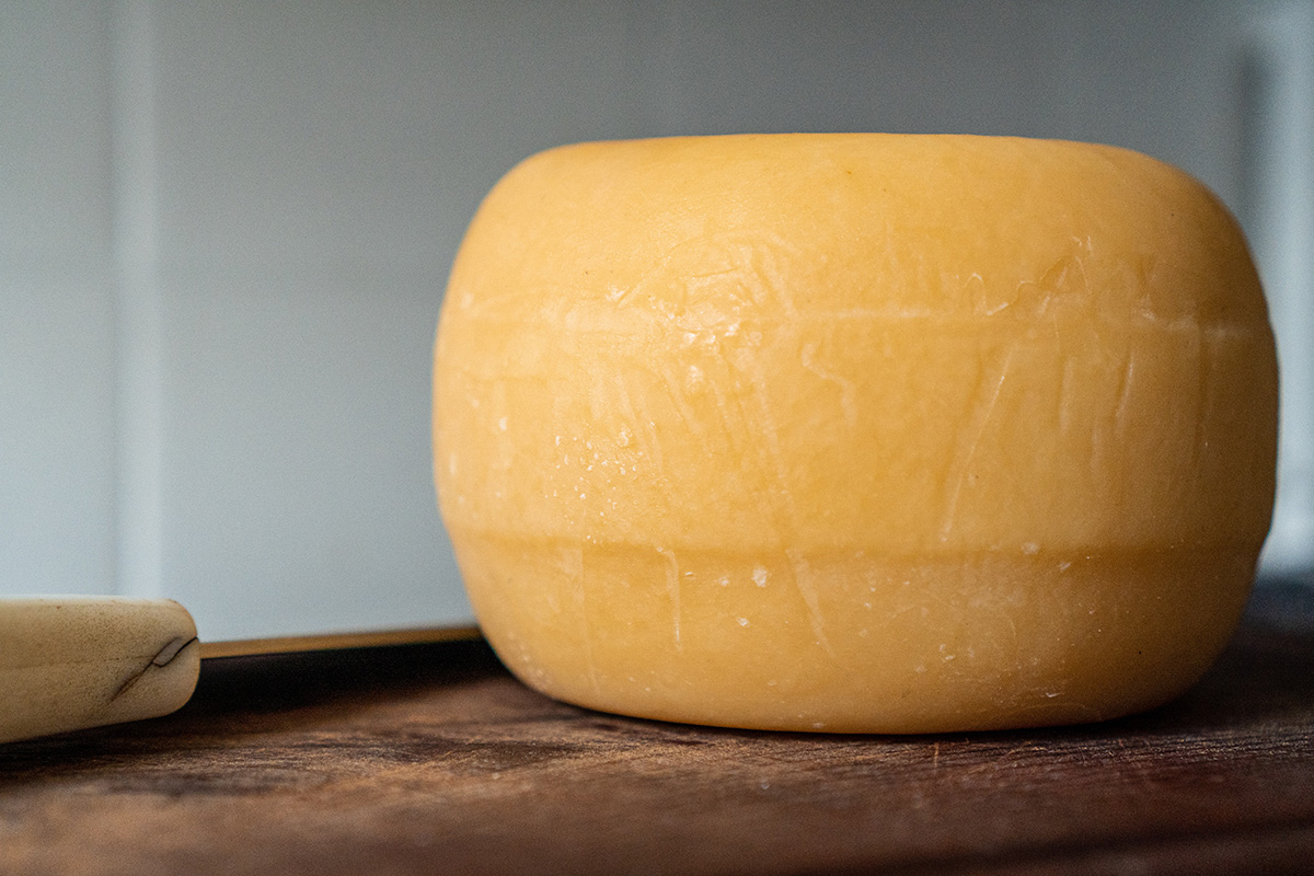 Рогачевский сыр экспортировали в Казахстан по заниженным ценам