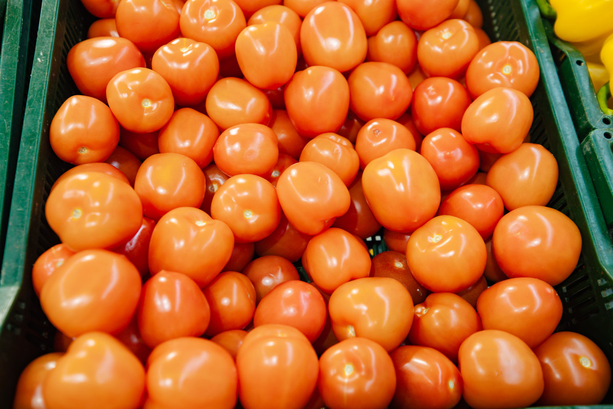 Власти пообещали решить проблему "золотых" помидоров зимой – когда