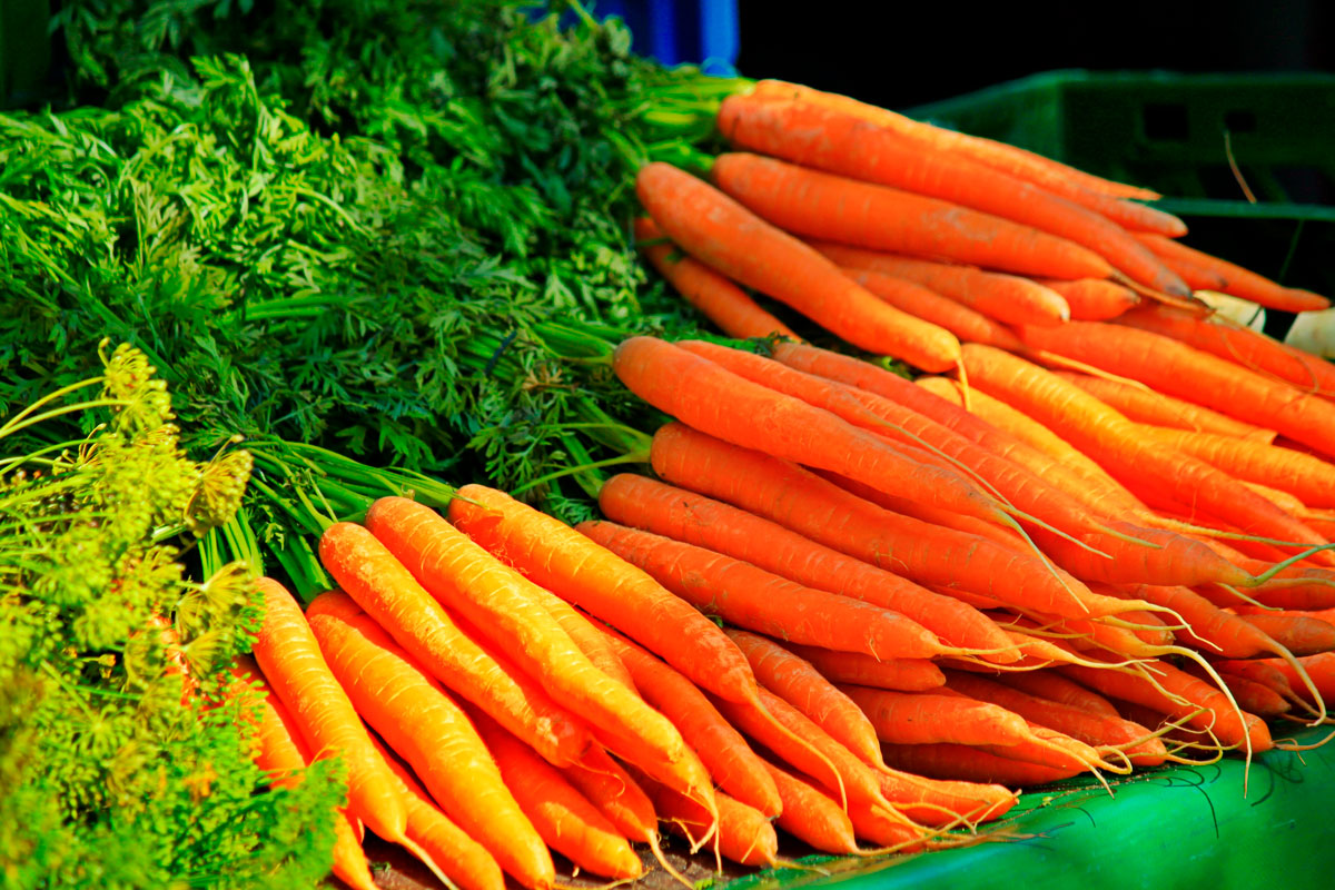 Эти сорта моркови самые вкусные: запомните всего три названия