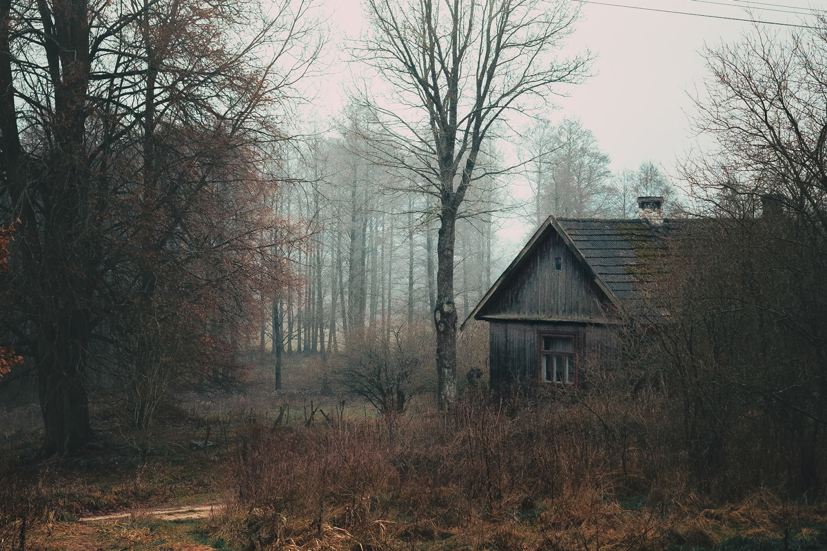 Стало известно, сколько в Беларуси пустующих домов