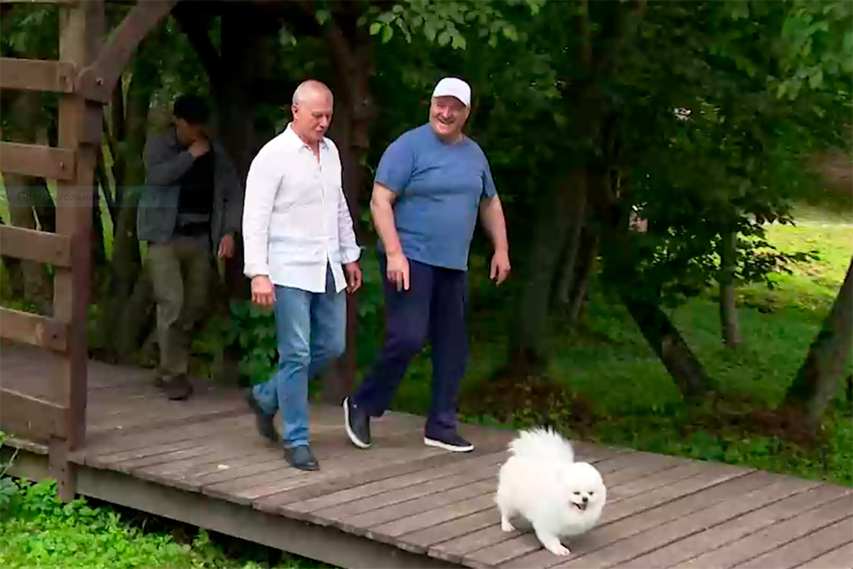 Лукашенко рассказал о живущих на его ферме трех котах