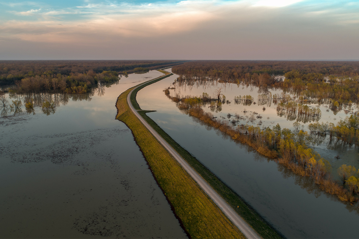 Реки подтопили дома и дороги в Гомельской и Брестской областях