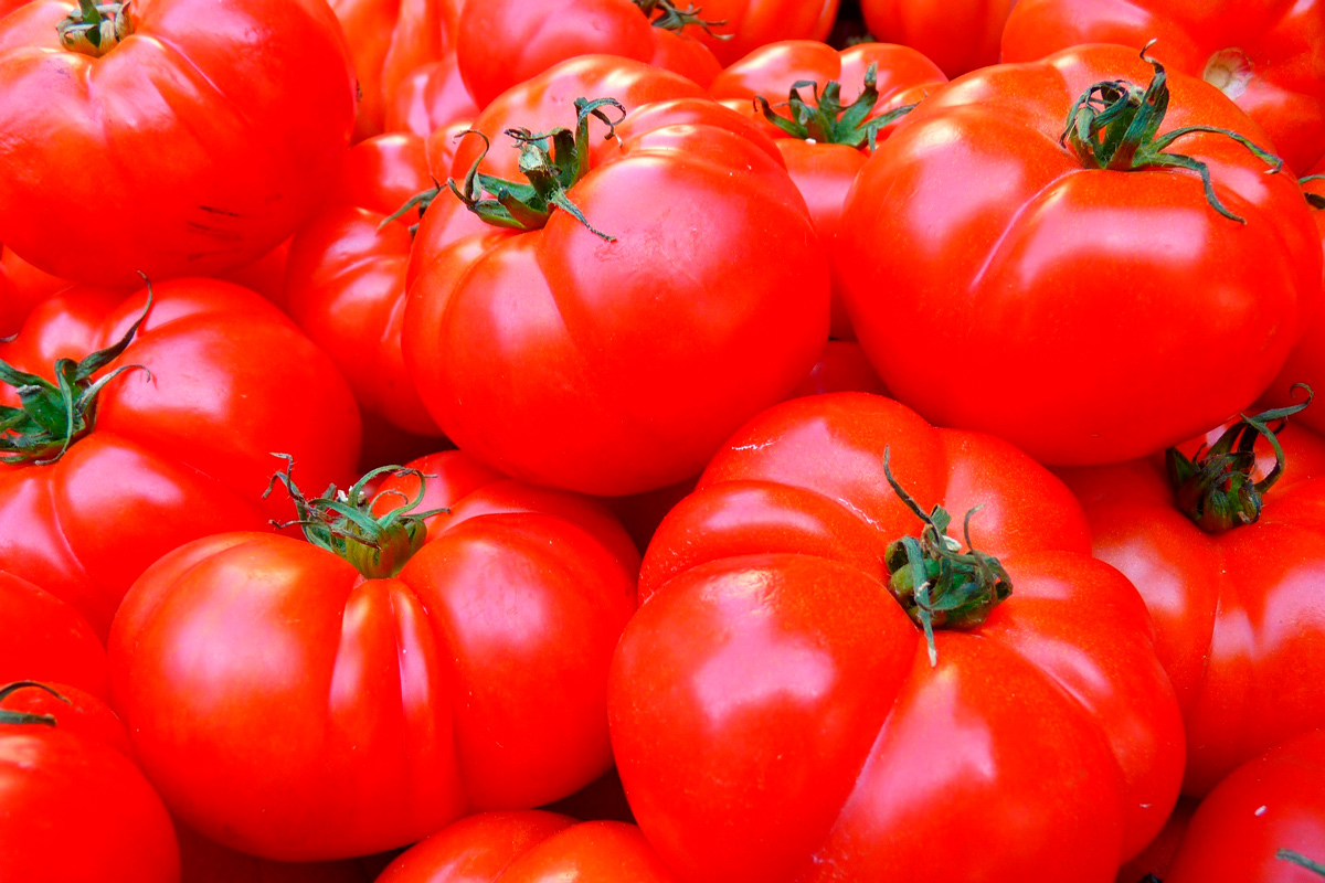 Обязательно сделайте это перед покупкой рассады томатов – или пожалеете
