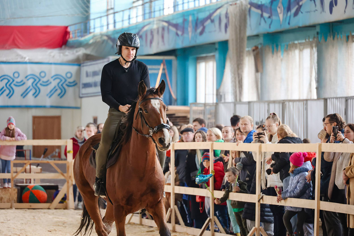 Кони и пони: в Минске проходит выставка-шоу лошадей