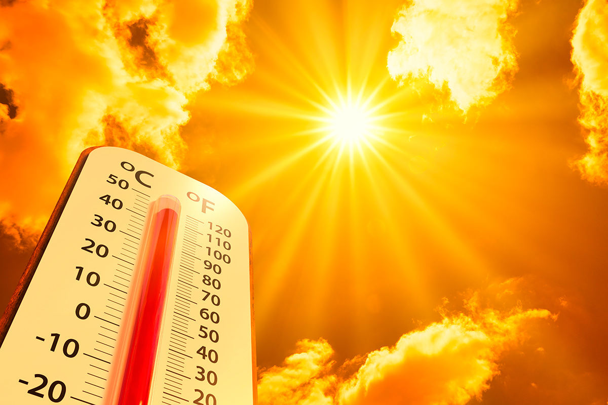 Июль 2023 года стал самым жарким за всю историю наблюдений на Земле