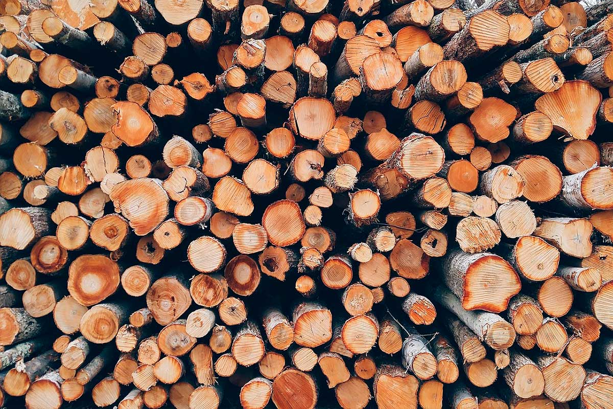 Сколько нужно потратить на дрова, чтобы запастись к отопительному сезону