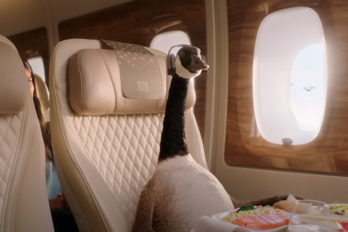 Амбассадором авиакомпании Emirates стал гусь – видео