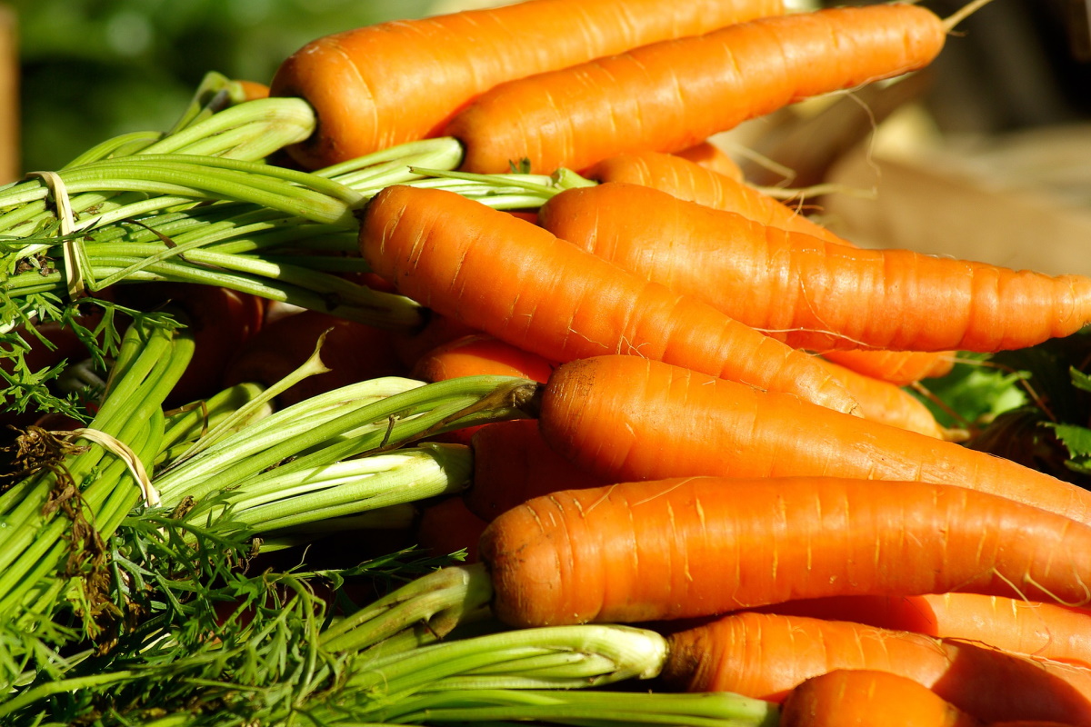 Вот так морковь! Секреты выращивания овощной культуры