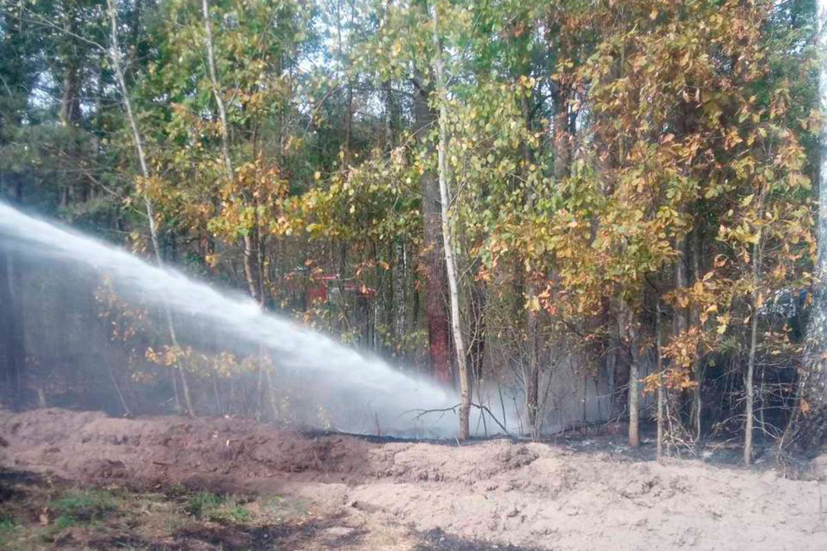 В Беларуси горят леса – за сутки потушено четыре пожара
