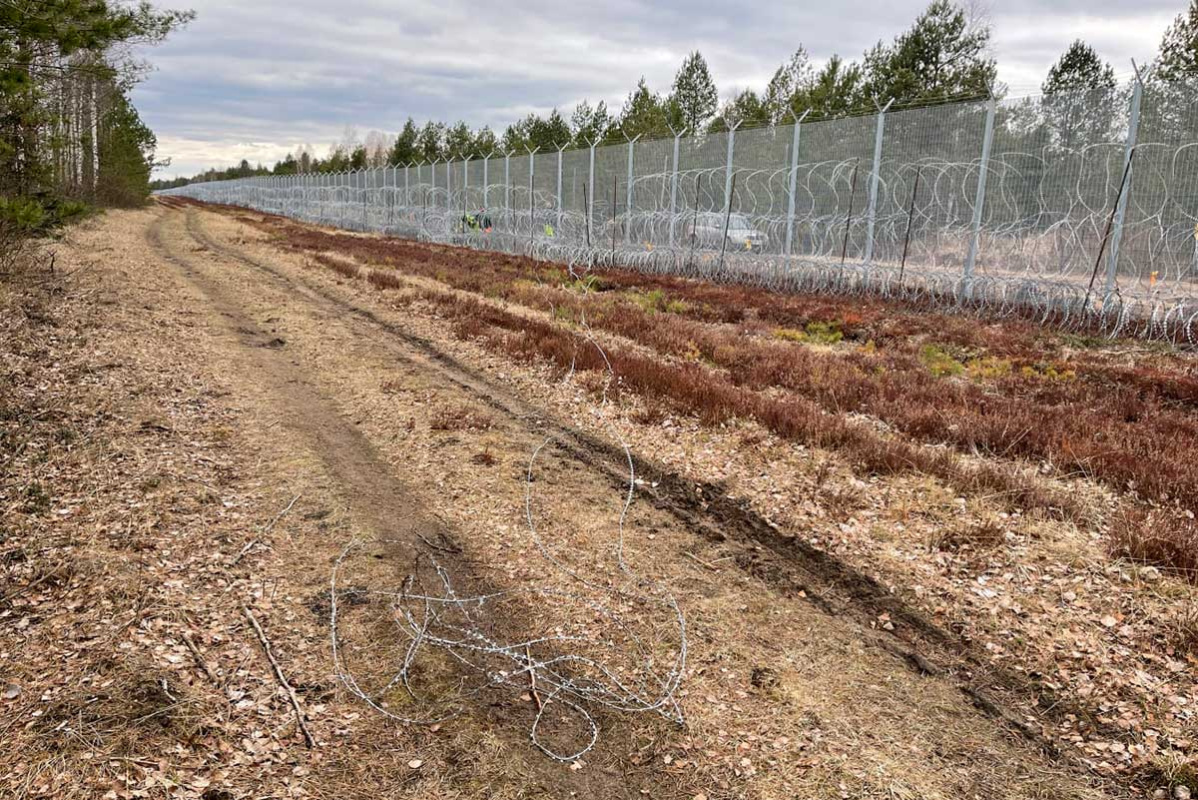 ЮНЕСКО рассмотрит ситуацию с польским забором в Беловежской пуще
