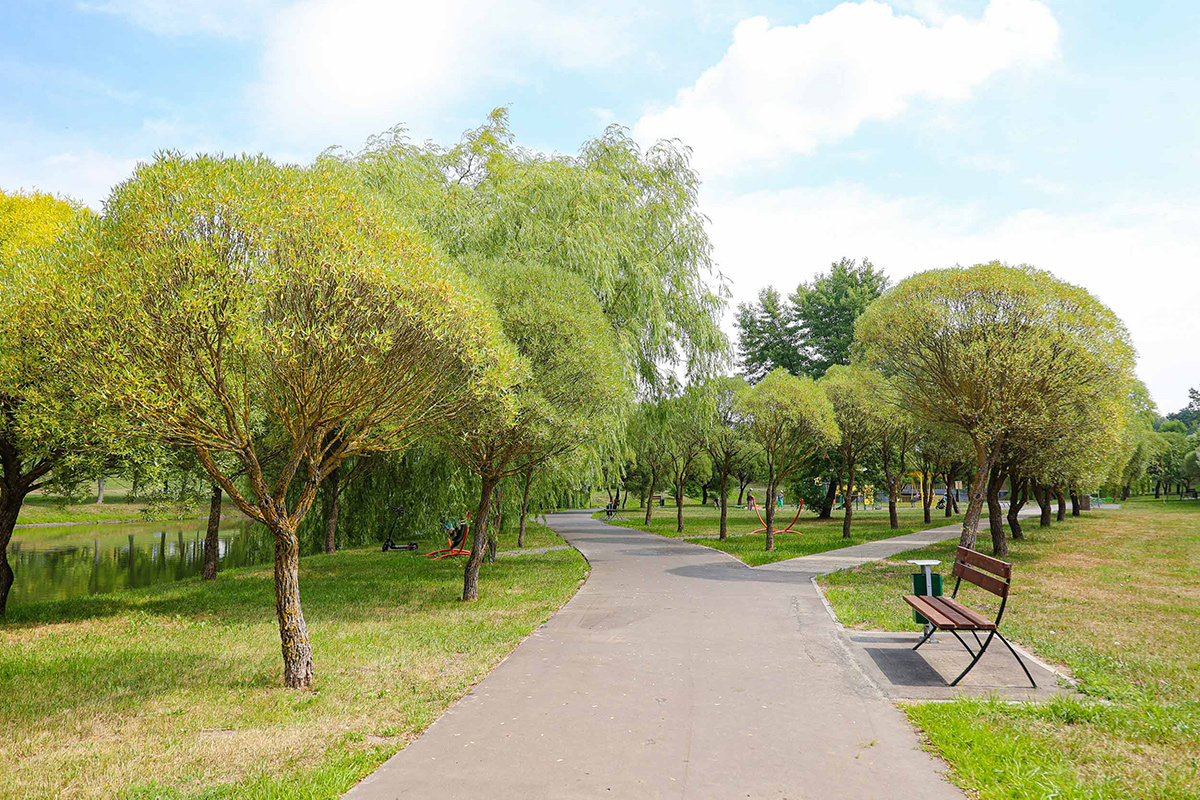 На два дня несколько парков в Минске станут опасны для горожан – в чем дело