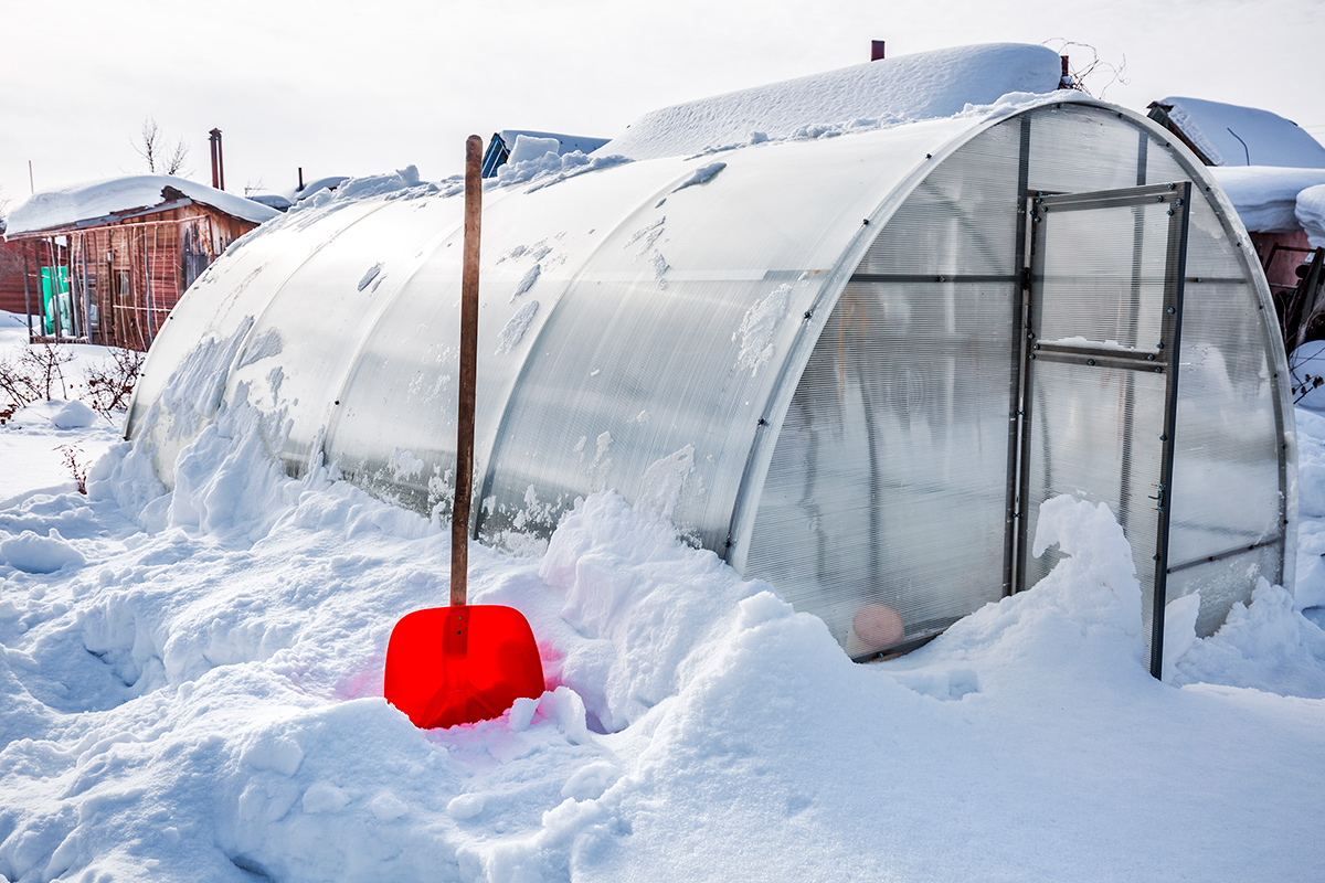 Нужно ли закрывать теплицу на зиму: специалисты дали окончательный ответ