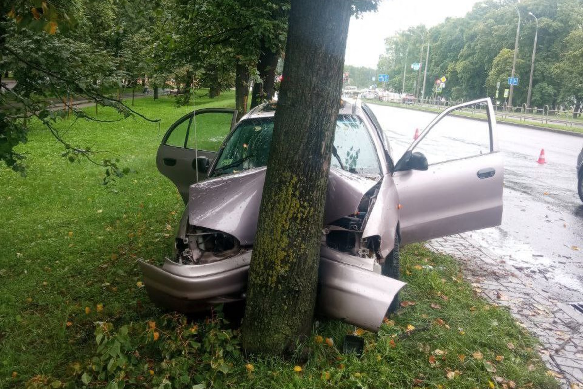 В Могилеве автомобиль врезался в дерево: водитель погиб