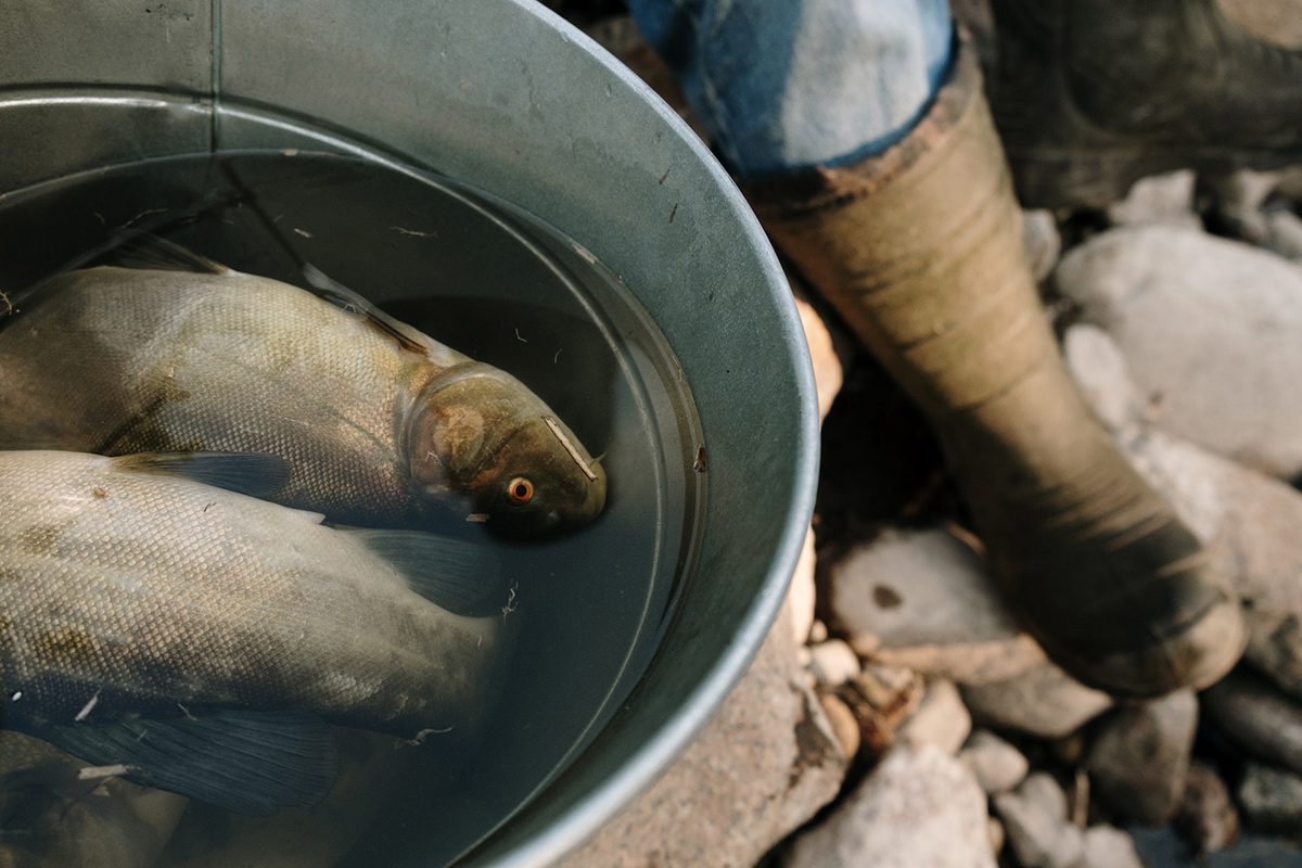 В Гродно на видео попал необычный способ рыбалки