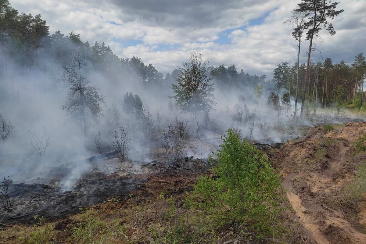 С начала года потушено почти 150 лесных пожара – Минлесхоз