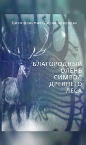 Благородный олень Символ древнего леса (малый зал)