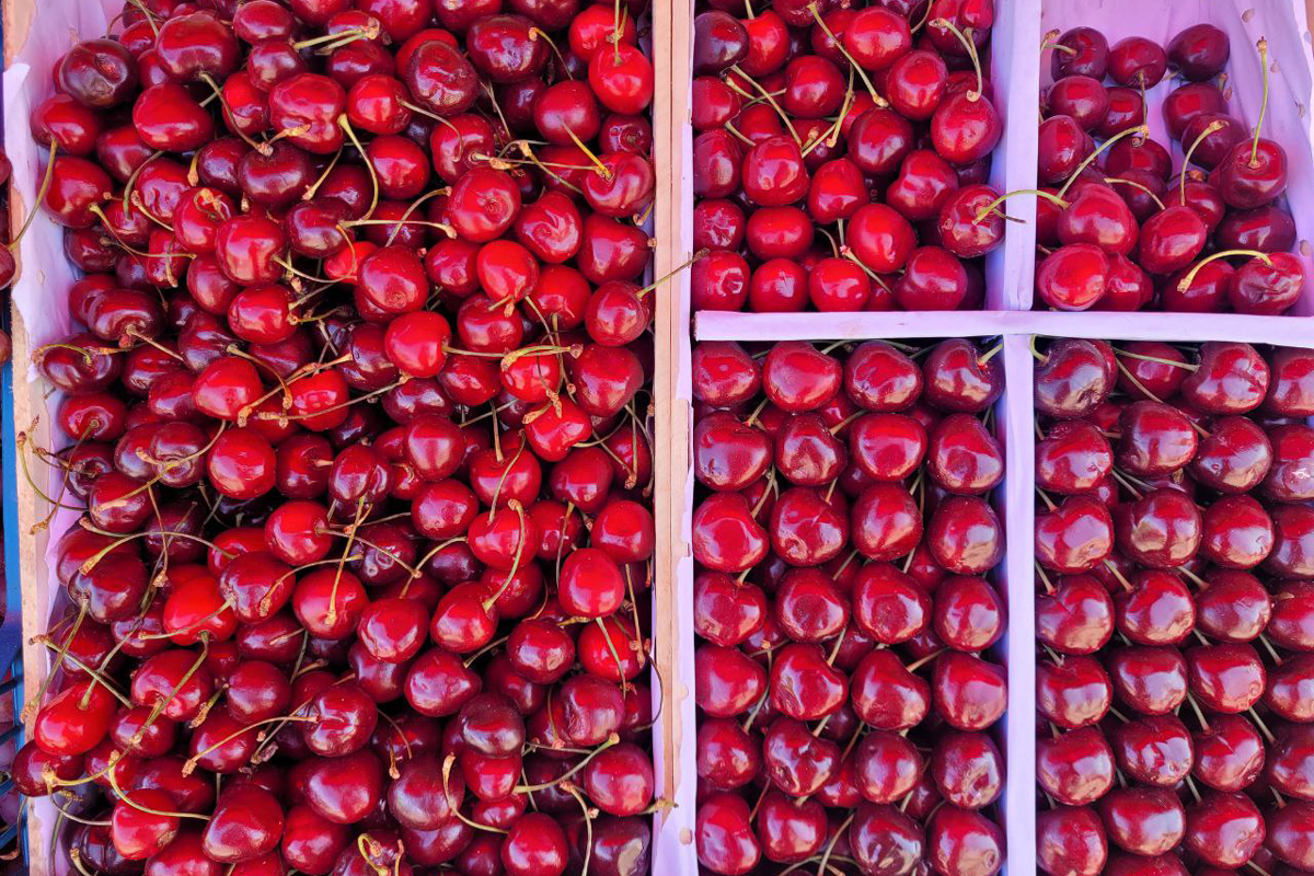Черешня стремительно дешевеет – почем продают ягоду в Минске