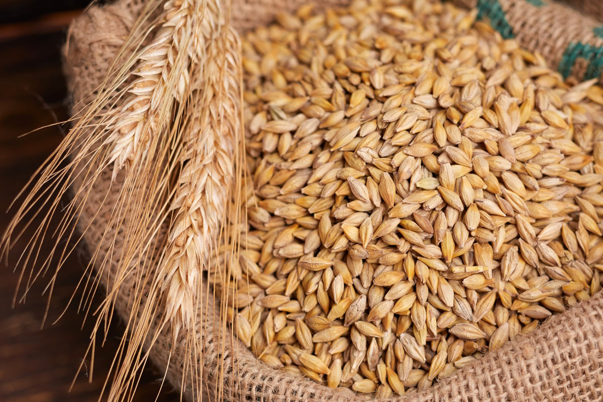 Беларусь продлила на полгода лицензирование вывоза зерна