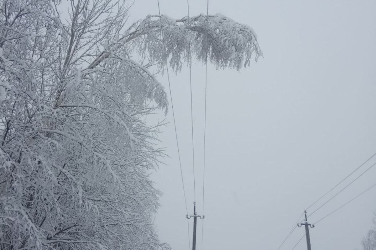В Витебской области непогода обесточила более сотни населенных пунктов