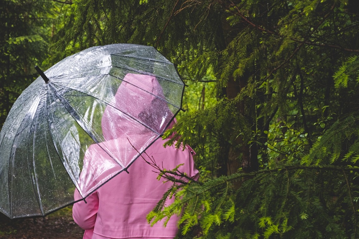 Дожди и прохлада: Дмитрий Рябов обещает ненастную погоду на неделю