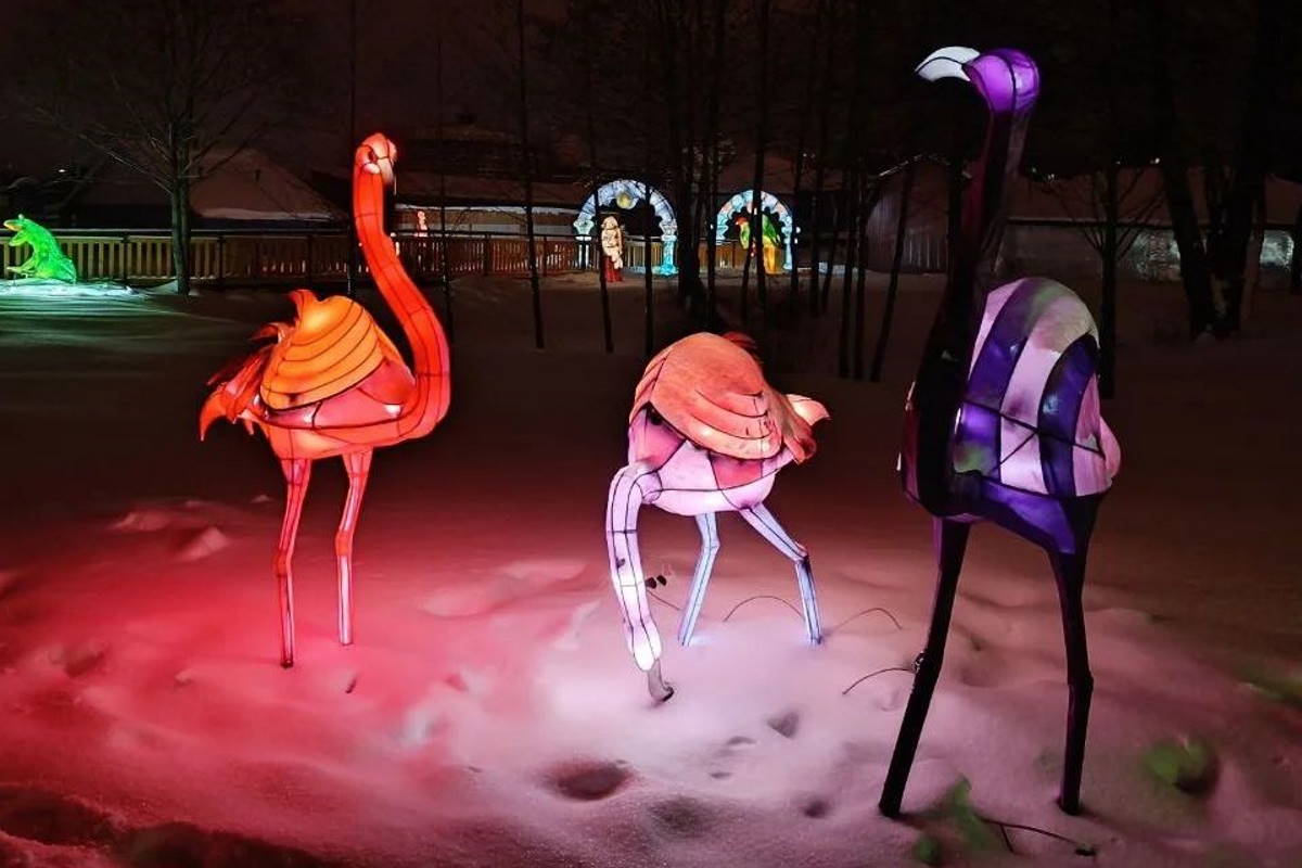 Выставка световых фигур открылась в минском зоопарке – фото