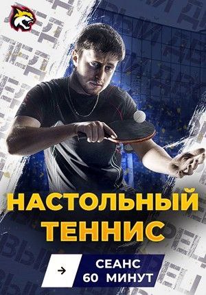 Настольный теннис ( 1 билет/ 2 чел., 1 час)