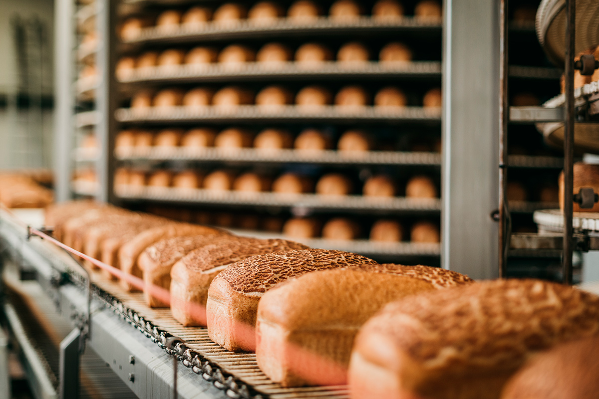 Беларусь нарастила экспорт хлеба: особый спрос на замороженную продукцию