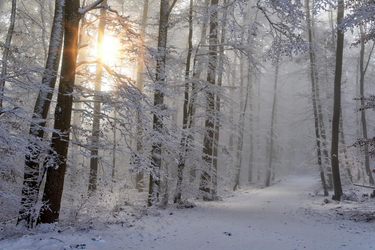 Дмитрий Рябов рассказал, ждать ли потепления на неделе с 8 по 14 января