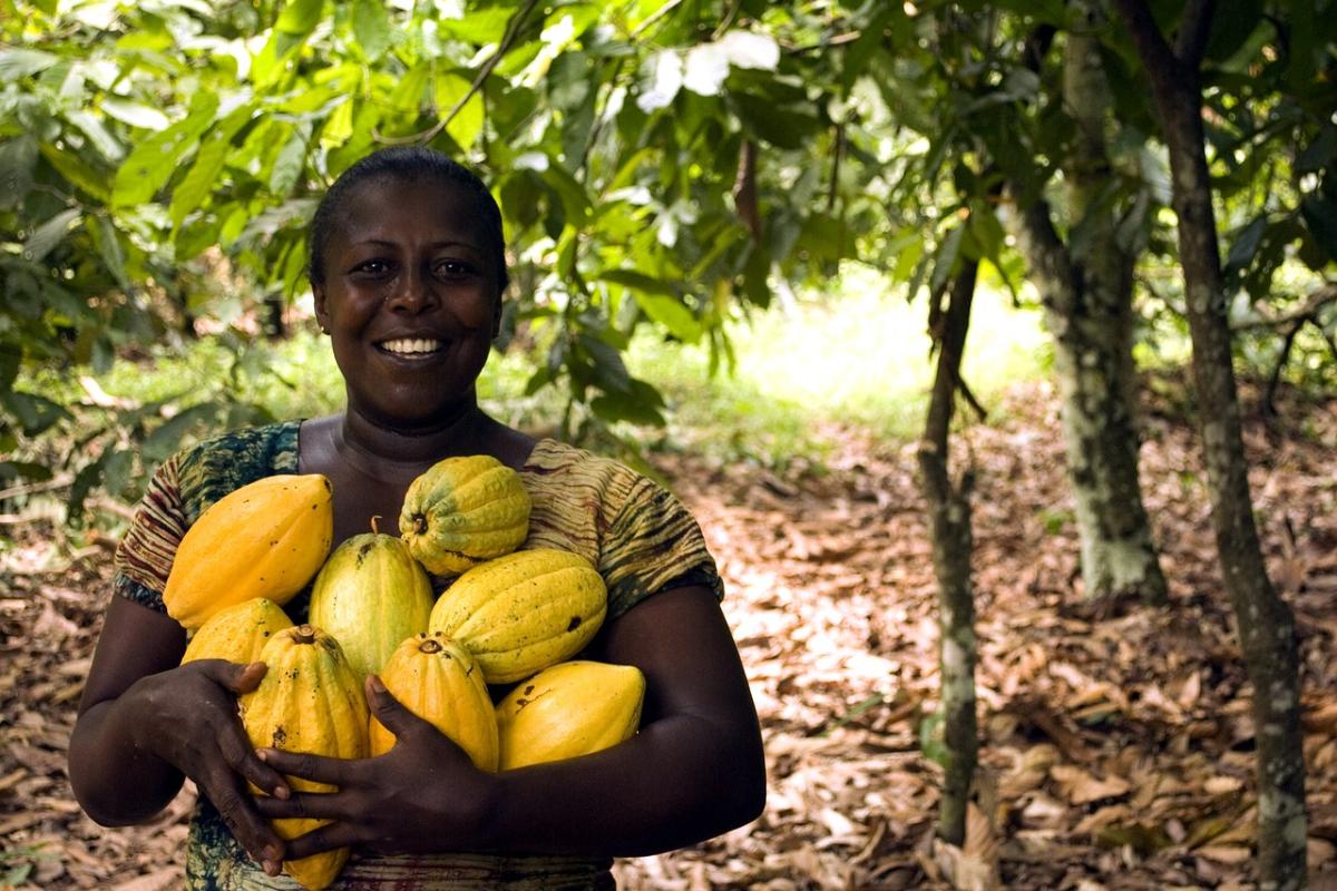 Мировые цены на какао-бобы пробили $10 тыс. за тонну – это рекорд