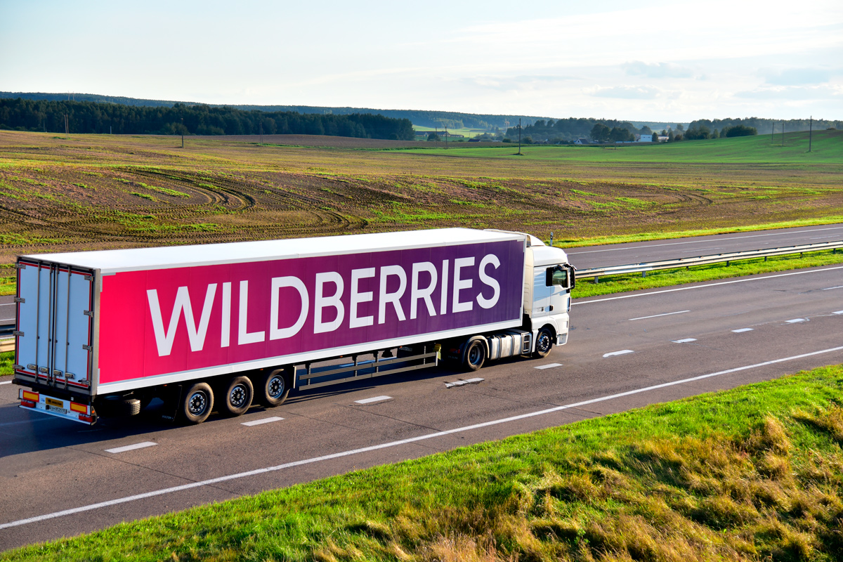 Wildberries создаст свой бренд техники: изделия будут собирать и в Беларуси