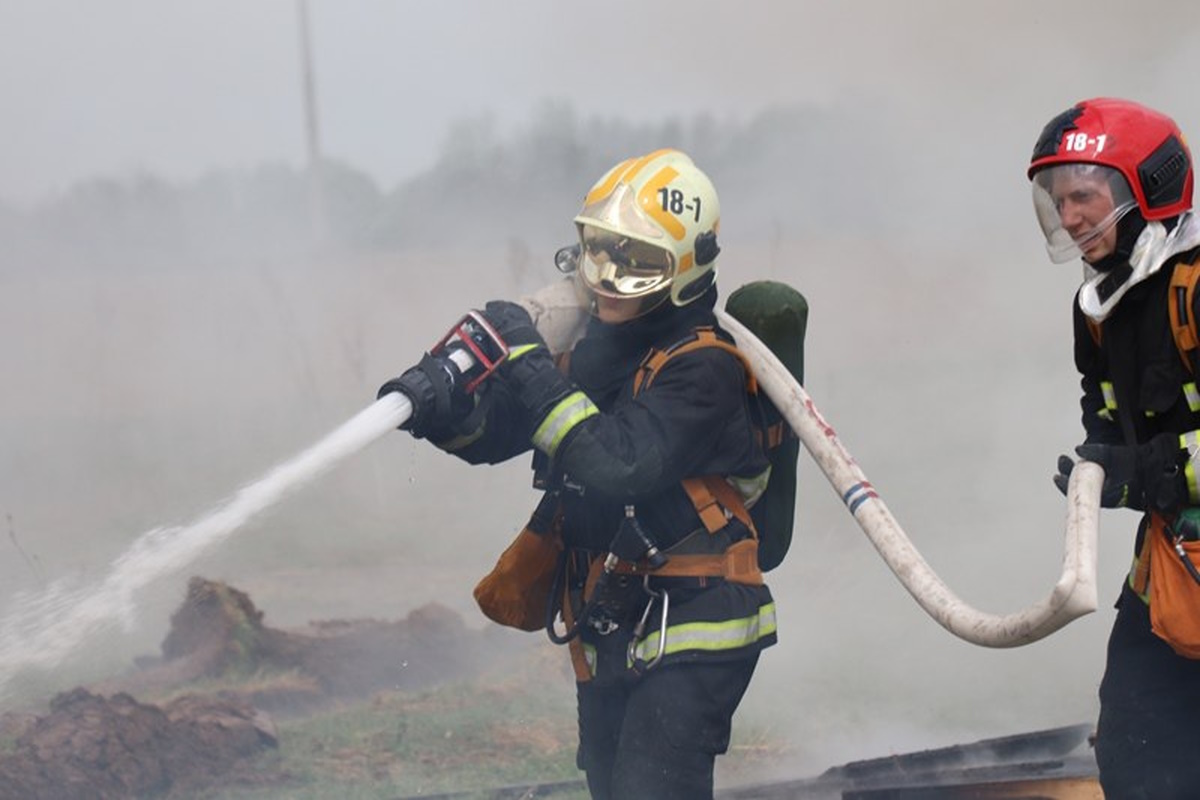 В Беларуси только за сутки ликвидировано десять лесных пожаров