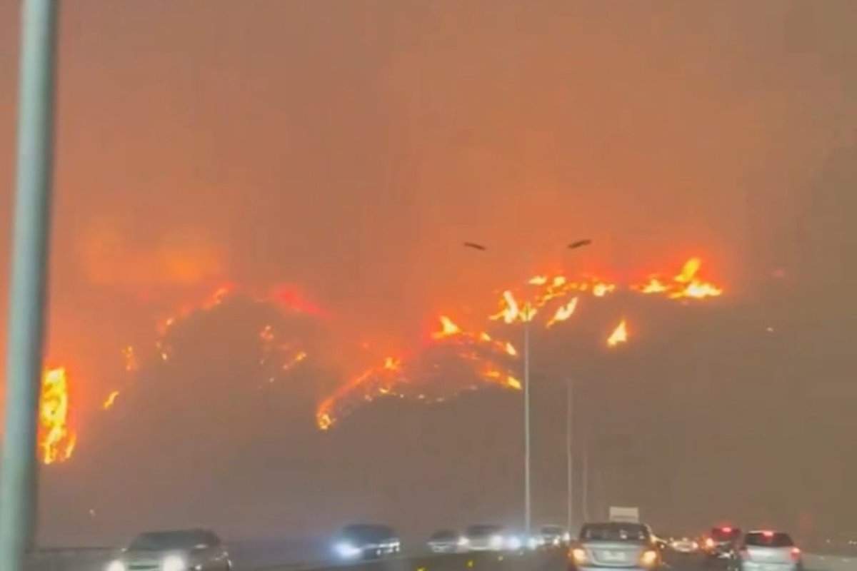 Огненный ад в Чили: местные власти сообщают о 48 погибших