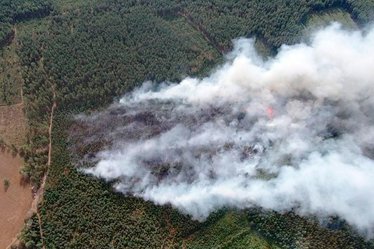 Минлесхоз показал, как тушил пожар в Новокрупском лесхозе